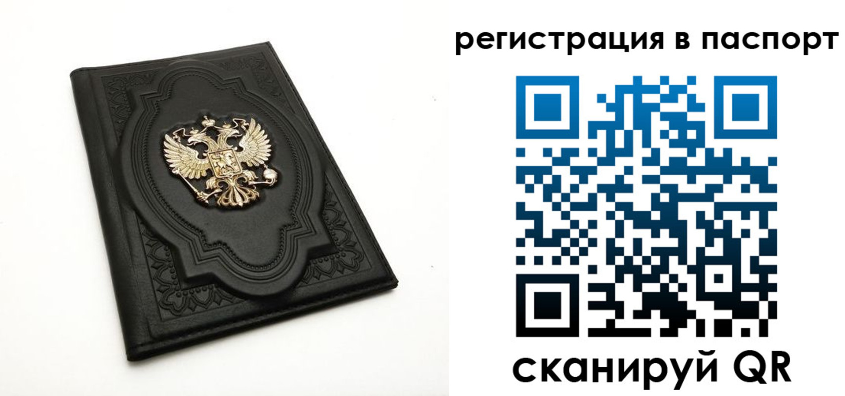 прописка регистрация в Мурманской области